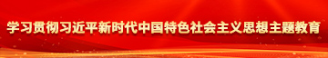 操逼片子学习贯彻习近平新时代中国特色社会主义思想主题教育